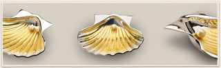 Discover The Exceptional Collection: Tasmanian Scallop Shell with Pearl