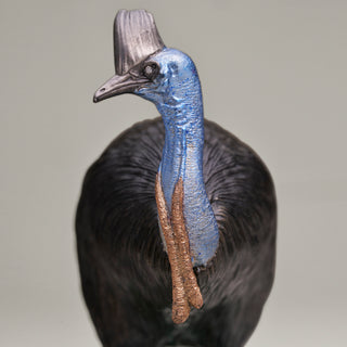 Sterling silver Cassowary sculpture with multicoloured plating and diamond eyes, mounted on a ruby in zoisite stone base.